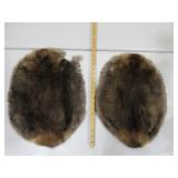 Two Beaver Pelts