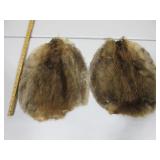 Two Beaver Pelts