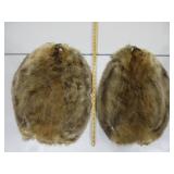 Two Beaver Pelts