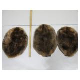 Three Beaver Pelts