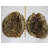 Two Beaver Pelts