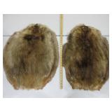 Two Beaver Pelts