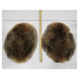 Two Beaver Pelts