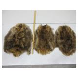 Three Beaver Pelts