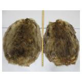 Two Beaver Pelts