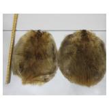 Two Beaver Pelts
