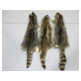 Three Raccoon Pelts