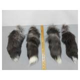 Four Fox Tails
