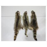 Three Raccoon Pelts