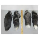 Four Fox Tails