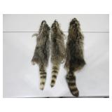 Three Raccoon Pelts