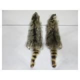 Two Raccoon Pelts
