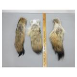 Three Fox Tails