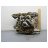 Taxidermied Raccoon Head Mount
