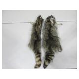 Two Raccoon Pelts