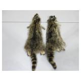 Two Raccoon Pelts