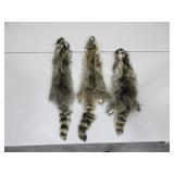 Three Raccoon Pelts