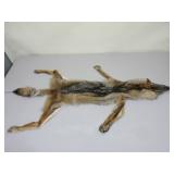 Wolf Pelt ?