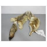 Coyote Pelt Scarf