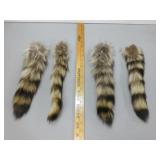 Four Raccoon Tails