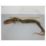 Horse Tail