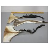 African Animal Tails