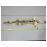Coyote Pelt