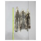 Three Opossum Pelts