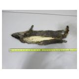 Small Critter Pelt