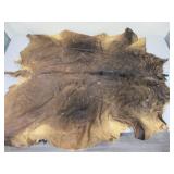 African Hide of Some Kind