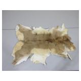 Antelope Hide