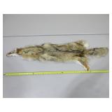 Coyote Pelt