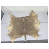 Some Type of African Antelope Hide