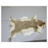 Antelope Hide