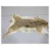 Small Antelope Hide