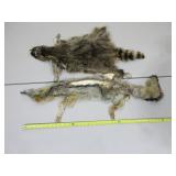 Raccoon and Coyote Pelts