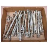 Carriage Bolts