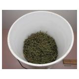 Bucket of Nails