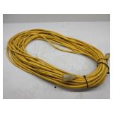 Extension Cord, 100