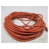Extension Cord, 100