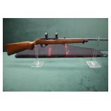 Ruger 10/22, 22 Win Mag w/Rings