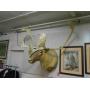 Firearms, Antiques/Collectables, furniture, HH Items