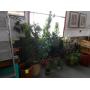 Coins, Furniture, Antiques/Collectables, HH items