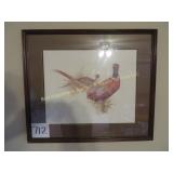 Pheasant Print