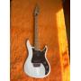 GUITARIST / MUSICIAN AUCTION PLUS MUCH MORE 