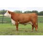 KH JLCS 652D MONTANA G67 ET