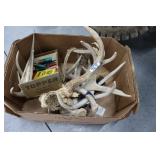 Antlers