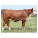 JLCS 216J MISS K46 N32