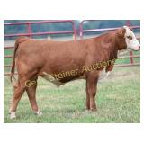 KH JLCS 15G TELLURIDE N16