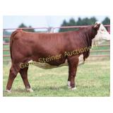 JLCS H65 LOUISE 19L N2